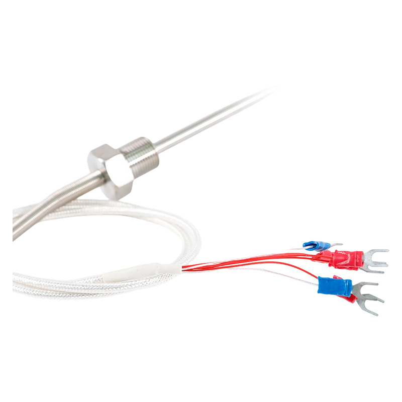 Factory Direct - 200 ~ 450°C Klasa A 316 Rtd Pt100 temperaturni senzor Otporni platinasti termometar Sonda 1/2